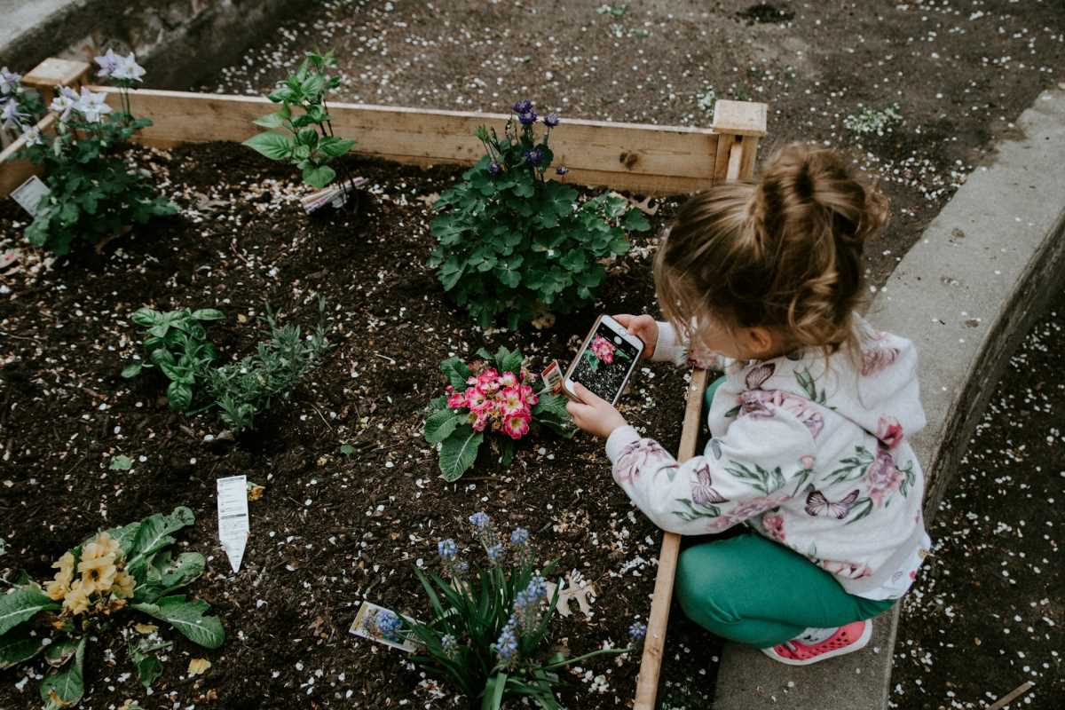 7 Fun and Practical Tips for Teaching Your Children Gardening